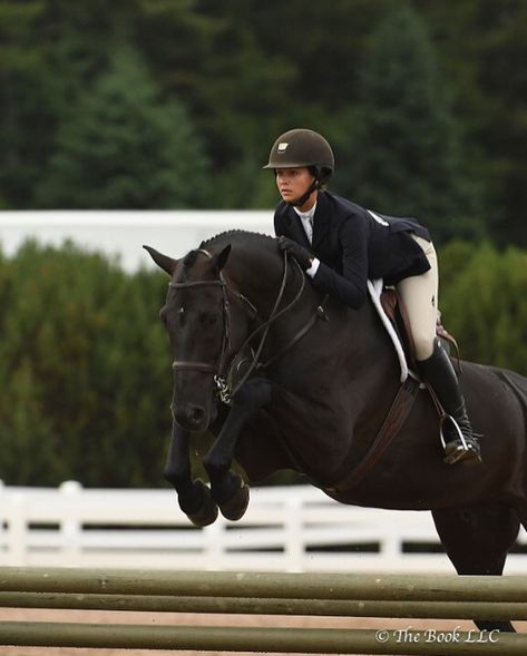 Equestrian Hunter Aesthetic, Horse Jumping Outfit, Black Warmblood Horse, Black Equestrian Aesthetic, Equestrian Lifestyle Aesthetic, Hunter Horse Show, Jumpers Aesthetic, Black Horse Jumping, Black Horse Aesthetic