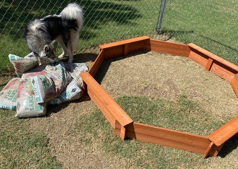 5 Enrichment Ideas for Dogs That Dig | Sidewalk Dog Diy Dog Sand Pit, Fun Backyard Ideas For Dogs, Dog Dig Pit Diy, Dog Sandbox Ideas, Dog Sandbox Diy, Dog Digging Pit, Digging Pit For Dogs, Dig Pit For Dogs, Diy Dog Obstacle Course Ideas