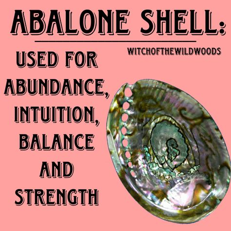 Abalone Shell Meaning, Seashell Magick, Seashell Meaning, Seashells Witchcraft, Water Spirituality, Sp Manifestation, Sea Magick, Shell Magic, Sea Witchcraft