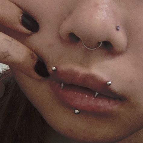 Fang Piercing Lip, All Lip Piercings, Lip Fang Piercing, Vertical Monroe Piercing, Fang Percing, Angel Fang Peircings, Angel Fangs Piercing Lip, Fang Peircings, Angel Bites Fangs