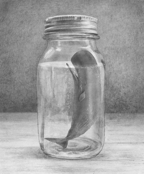 whale in a bottle Extinction Art, Square Canvas, In A Jar, By Terry, Childrens Illustrations, Environmental Art, Design Graphique, Mini Art, Figure Drawing