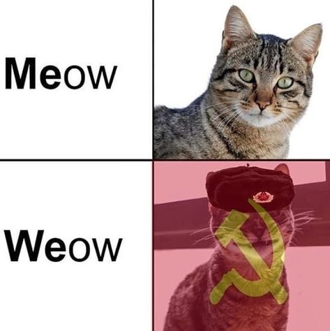 Our Meme . . Do share our memes? Follow @cheekibreekination to prove! . . #slavcar #slavcat #soviet #sovietrussia #sovietmemes #russianmeme… Memes, Funny