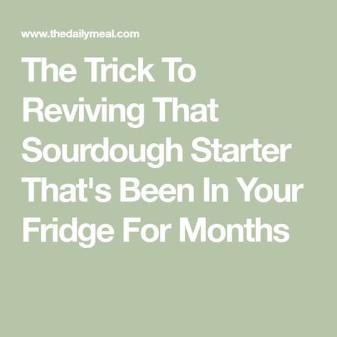 The Trick To Reviving That Sourdough Starter That's Been In Your Fridge For Months Reviving Sourdough Starter From Fridge, Reviving Sourdough Starter, Baking Company, Sourdough Baking, Sourdough Bread Recipe, Try To Remember, Fermenting, Sourdough Starter, Daily Meals