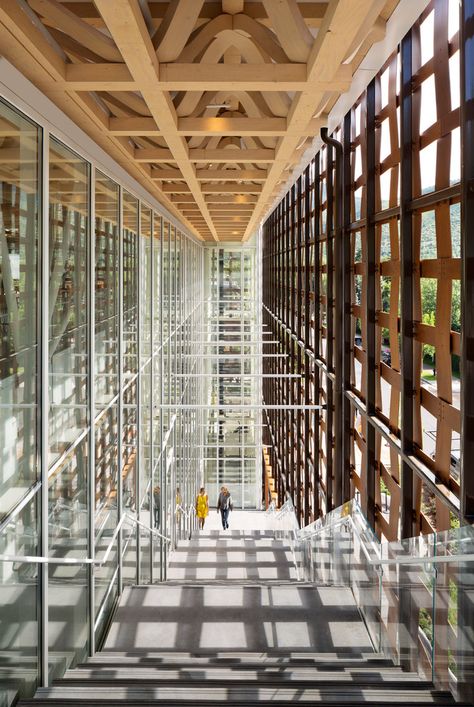 Gallery of Aspen Art Museum / Shigeru Ban Architects - 3 Aspen Art Museum, Aspen Art, Shigeru Ban, Cladding Panels, Japanese Architect, Space Frame, Wood Cladding, Exterior Cladding, Exterior Wood