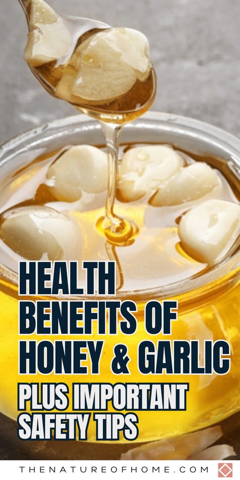 Honey and garlic can boost health in surprising ways, but caution is needed. Discover when and how to use this duo for immunity and wellness, along with the risks involved. Save this pin for later and get the facts on honey and garlic. Click to explore this powerful combo! Garlic In Honey Jar Benefits, Garlic For Sickness, Garlic Honey Medicine Benefits, Honey Onion Garlic Syrup Homemade, Onion Garlic Honey Remedy, Honey And Garlic Remedy, Garlic Honey Medicine, Garlic In Honey, Garlic And Honey Benefits