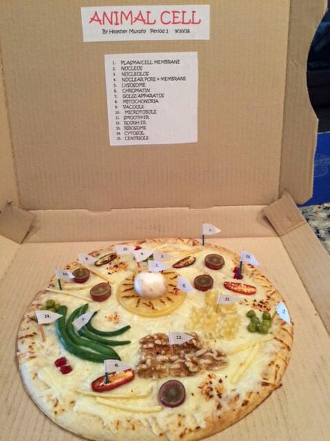 Pizza Animal Cell Project, Pizza Cell Project, Animal Cell Pizza Project, Edible Cell Project Ideas, Edible Animal Cell Project, Animal Cell Project Ideas, 3d Cell Project, Edible Animal Cell, Animal Cell Model Project