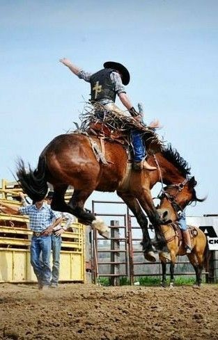 Horse Bucking With Rider, Saddle Bronc Riding, Bronco Horse, Cowboy Photography, Saddle Bronc, Horse Reference, Calf Roping, Bucking Bulls, Bronc Riding