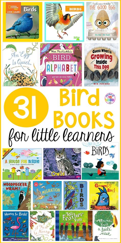 Bird Books Preschool, Birds Unit Study, Bird Unit Preschool, Bird Inquiry Kindergarten, Birds Preschool Activities, Spring Provocations, Bird Theme Preschool, Bird Kindergarten, Insect Unit Study