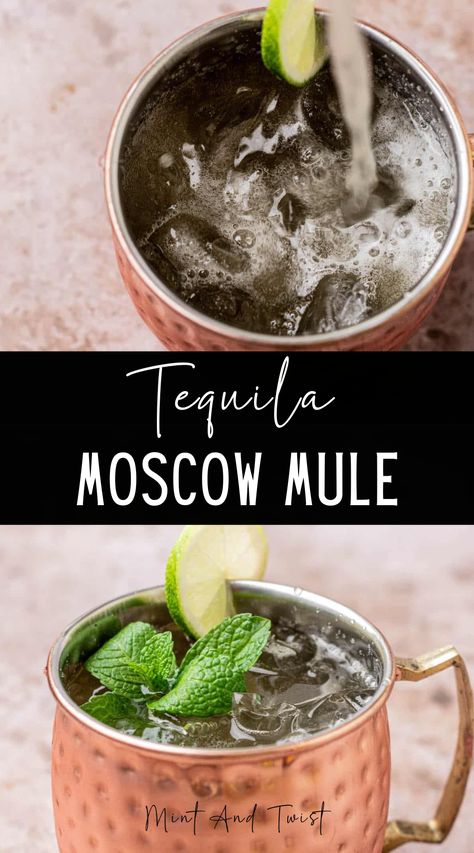 The Mexican Moscow Mule is a delightful adaptation of the traditional Moscow Mule. If you love mules, this drink is for you! It fuses a Moscow Mule’s classic ingredients with tequila’s robust flavors. Mexican Mule Recipe, Moscow Mule Drink Recipes, Mexican Mule, Moscow Mule Drink, Mule Drink, Ginger Cocktails, Moscow Mule Cocktail, Moscow Mule Recipe, Mule Cocktail