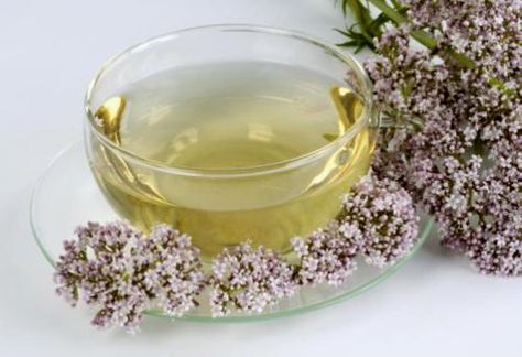 5. #Valerian Tea - 8 Different Teas and What They do ... → #Health [ more at http://health.allwomenstalk.com ]  #Herbal #Com #Tea #Black #Type Different Teas, Valerian Tea, Love Essay, Mla Format, Works Cited, Sleep Tea, Child Labour, Sleep Therapy, Brain Boost