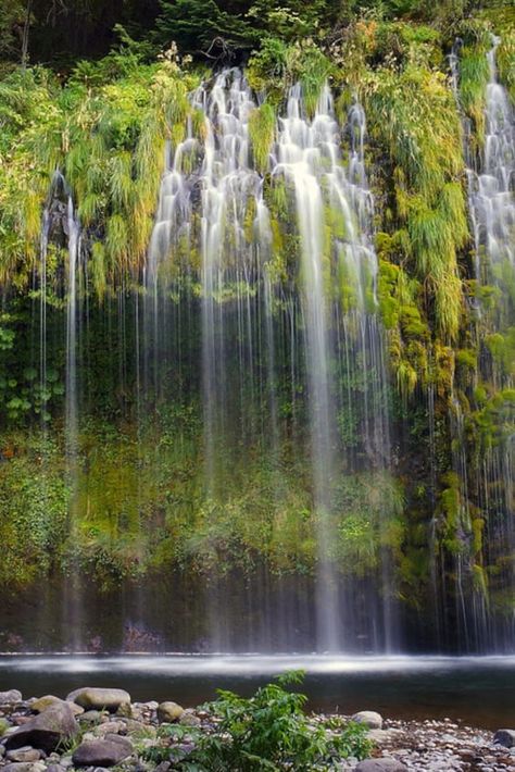 Check out "Mossbrae Falls" in California Mossbrae Falls Ca, Ribbon Falls, Lake Shasta Caverns, Dunsmuir California, Mossbrae Falls, California Waterfalls, Lake Shasta, Redding California, Mt Shasta