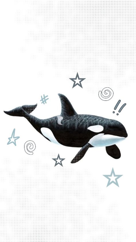 Cute Sea Animals Wallpaper, Wallpaper Whale Aesthetic, Sea Animal Wallpaper Aesthetic, Orca Lockscreen, Cute Orca Wallpaper, Orca Iphone Wallpaper, Cute Wallpapers Shark, Orca Whale Wallpaper, Whale Shark Wallpaper Iphone