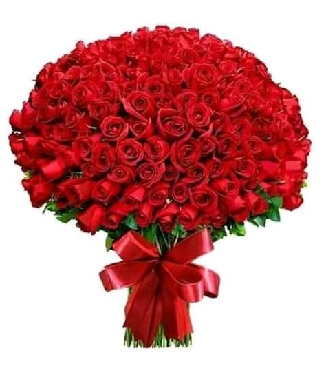 Rose Flower Photos, Love Rose Flower, Rose Flower Arrangements, Birthday Wishes Flowers, Rose Flower Pictures, Beautiful Flowers Images, Rose Flower Wallpaper, Red Rose Bouquet, Beautiful Red Roses