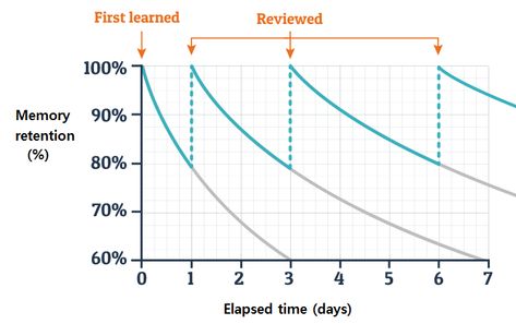 Normal Vital Signs, Retain Information, Spaced Repetition, Types Of Learners, Selling Strategies, Avoid Distractions, Study Techniques, Fun Facts About Yourself, Rodeo Queen