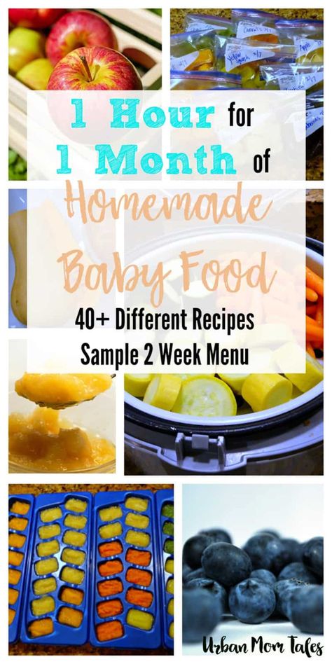 How To Make Baby Food Stage 1, Making Baby Food Stage 1, Making Baby Food 6-9, Baby Food Recipes 6-9, Homemade Baby Food Ideas, Homemade Baby Food Stage 1, Stage 2 Baby Food Recipes, Stage 1 Baby Food Recipes, Stage 1 Baby Food