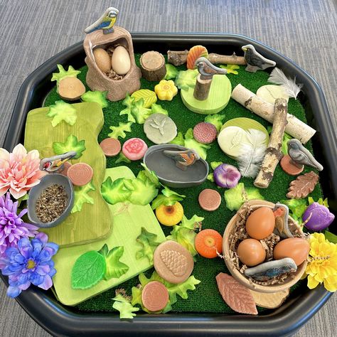 Bird Garden Small World 🐦‍⬛ Where do our bids live? This little garden inspired small world is perfect for your little feathered friends to explore, build their nests 🪺 , take a dip in the bird bath and chirp their songs! In your mini tuff tray begin creating your bird garden with branch blocks, sensory play leaves, flowers and scenery stones! Add fabric flowers, materials to make nests and more. 🌳Then place your birds all over and encourage children to tell stories! Ways to extend the p... Tuff Tray, Tray Ideas, Little Garden, Garden Inspired, Bird Garden, Sensory Play, Small World, Pretend Play, Bird Bath