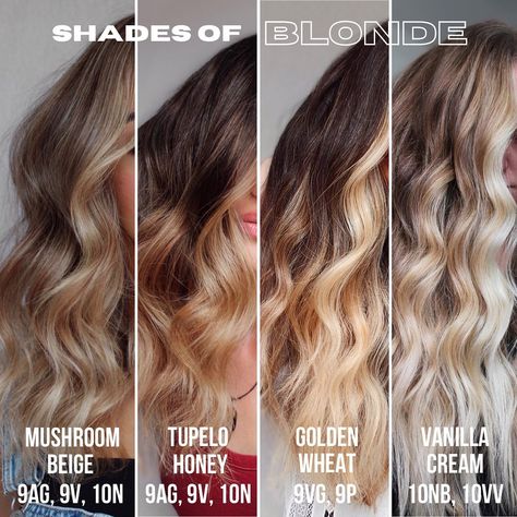 Balayage | Educator on Instagram: “SAVE THIS for blonde colour inspo! @redken #shadeseq edition! ⚠️2nd formula correction: Tupelo Honey is VG, not AG Formulating is my…” Shades Eq Ag Formulas, Redken Shades Eq Formulas Nb, Gold Shades Eq Formula, Fall Blonde Redken Formula, Honey Shades Eq Formula, Redken Balayage Formula, Warm Blonde Shades Eq Formula, Blonde Toners, Blonde Formulas