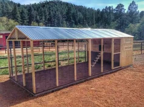 Chicken Coop Build, Reban Ayam, Chicken Coop Blueprints, Coop Decor, Walk In Chicken Coop, Cute Chicken Coops, Easy Chicken Coop, Chicken Coop Garden, Chicken Coop Decor