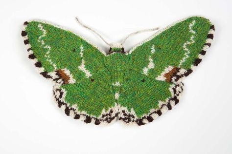 Emerald Moth, Knit Art, Shetland Wool, Insect Art, Cute Embroidery, Beautiful Knitting, By Max, Yarn Art, Knitting Inspiration