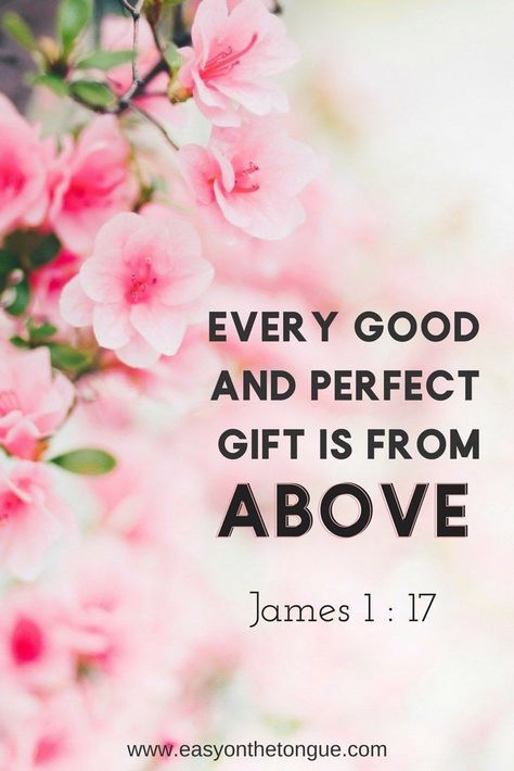 Every Good And Perfect Gift Is From Above, Every Good And Perfect Gift Verse, James 1:17, Vertrouw Op God, James 1 17, Beautiful Scripture, Ayat Alkitab, James 1, Biblical Verses