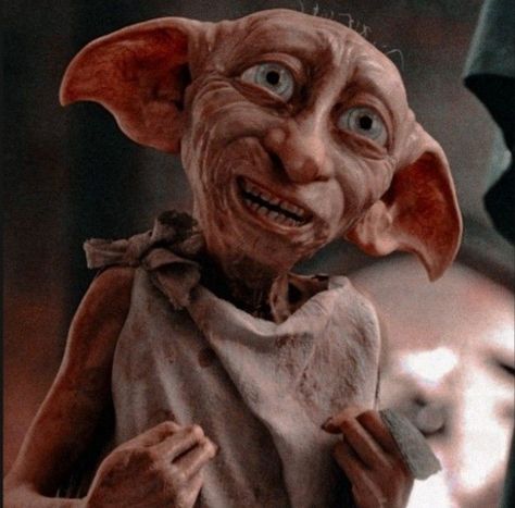 Harry Potter App, Photo Harry Potter, Dobby Is Free, Dobby The Elf, Free Dobby, Harry Potter Room Decor, Harry Potter Wall, Dobby Harry Potter, Cute Harry Potter