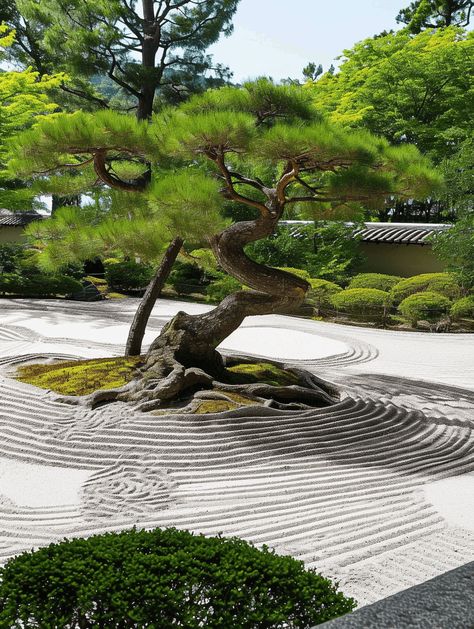 30+ Zen Garden Ideas That Will Inspire You Zen Garden Japan, Japanese Garden Backyard, Zen Garden Ideas, Japanese Inspired Garden, Zen Rock Garden, Japanese Garden Landscape, Zen Garden Design, Japanese Tree, Japanese Zen Garden