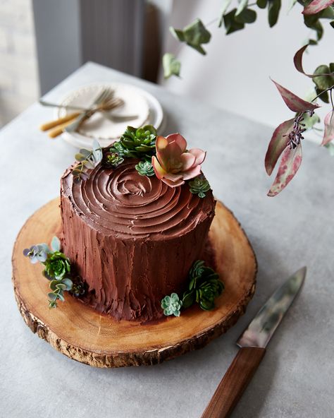 A vertically layered chocolate & coffee yule log. It looks just like a festive tree stump! Easy to make but is such a show stopper of a dessert, perfect for the Holidays or Christmas. // topwithcinnamon.com // Izy Hossack Chocolate Tree Stump Cake, Chocolate Trees How To Make, Yule Log Cake Recipe, Stump Cake, Tree Stump Cake, Yule Log Recipe, Chocolate Log, Chocolate Yule Log, Yule Log Cake