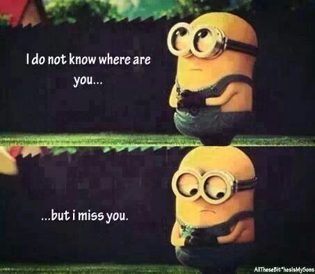 I miss you quote ~ I don't know where you are... but I miss you! Love Pictures For Him, Funny Love Pictures, Minions Love, I Miss You Quotes, Funny Memes About Girls, Love Quotes Funny, Minion Quotes, Minions Quotes, After Life