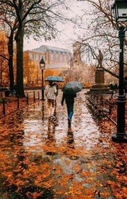 Poem #poetry #Poetry #amreading #books #wattpad Autumn Rain, Fall Beauty, Washington Square Park, Walking In The Rain, Autumn Beauty, Seasons Of The Year, City Street, Fall Pictures, Autumn Cozy