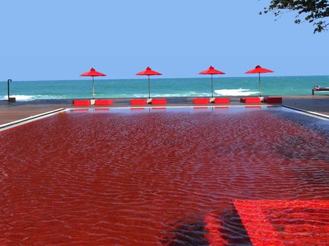 The Library in Thailand has a pool boasting a unique look, with blood-red tiles creating a cool effect that nicely contrasts the beach. Ideas De Piscina, Hotel Thailand, Library Hotel, Amazing Swimming Pools, Hotel Swimming Pool, Chaweng, Cool Swimming Pools, Koh Samui Thailand, Samui Thailand