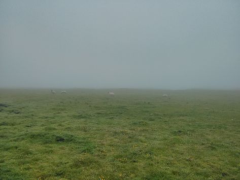 Foggy Flower Field Aesthetic, Foggy Field Aesthetic, Foggy Grass Field, Stonehenge Aesthetic, Foggy Field, Field Aesthetic, Model Site, Sheep In A Field, Foggy Scottish Highlands