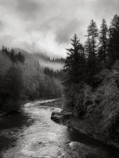 Black and White Photography on Rainy Days Black And White Rain Photography, Bad Weather Photography, Black And White Nature Photography, Landscape Studies, Coastal Oregon, Black And White Landscape Photography, Landscape Black And White, Aesthetic Apps, Weather Photography