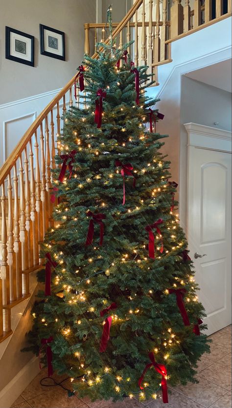 #Christmas #Christmasdecor #tree #decor #christmastree #bow #christmasbows Christmas Tree With Bow Ornaments, Little Red Bows On Christmas Tree, Christmas Red Bow Decor, Classic Red And White Christmas Tree, Christmas Tree Ideas Red Bows, Red Bow On Christmas Tree, Xmas Tree With Bows, Christmas Tree Aesthetics, Tree With Bows Christmas