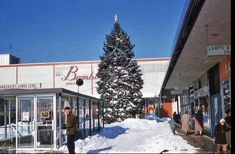 The Garden State Plaza, Paramus, NJ Christmas 1960’s 🎄🎅🏻🎄 Blue Spruce Christmas Tree, Garden State Plaza, Mall Architecture, Bergen County New Jersey, Vintage New Jersey, Vintage Mall, Paterson Nj, Retro Signs, Spruce Christmas Tree