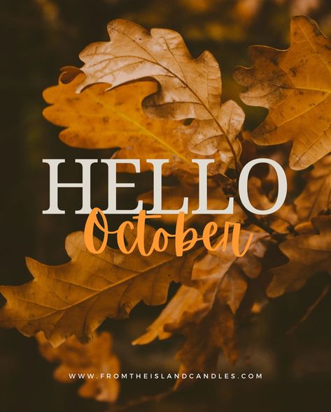 Happy October 1st! It’s officially the start of cosy season… meaning it’s officially light your candles every evening season 🕯️✨🤎🔥🫶🏻 Pet Friendly Candles, Happy October 1st, Welcome October, Aromatherapy Products, Wax Melt Warmer, Happy October, October 1st, Crisp Autumn, Pure Essential Oils