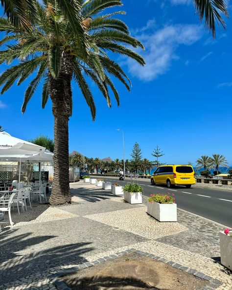 PORTO SANTO 💚🩵 É uma ilha dourada, famosa pela sua praia de areia de nove quilómetros. A mais pequena ilha habitada do Arquipélago da Madeira está apenas a uma hora e meia de voo de Lisboa. O clima do Porto Santo, moderado durante todo o ano e com uma temperatura do mar que oscila entre os 17ºC e os 22ºC. As ruas ladeadas de palmeiras e buganvílias são ideais para agradáveis e relaxantes passeios. 🏝️🌴 . . . . #funchal #caniço #santacruz #portugal #pt #ilhadamadeira #visitmadeira #casas ... Madeira Portugal Aesthetic, Madeira Aesthetic, Madeira Beach Portugal, Porto In November, Portugal Islands Madeira, Porto Moniz Madeira, Funchal, Portugal