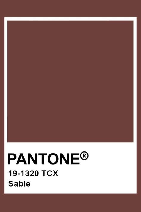 Fall Pantones - Studio McGee Terracotta Pantone, Brown Pantone, Moody Interior Design, Dark And Moody Interiors, Pantone Tcx, Pantone Color Chart, Pantone Swatches, True Autumn, Pantone Palette