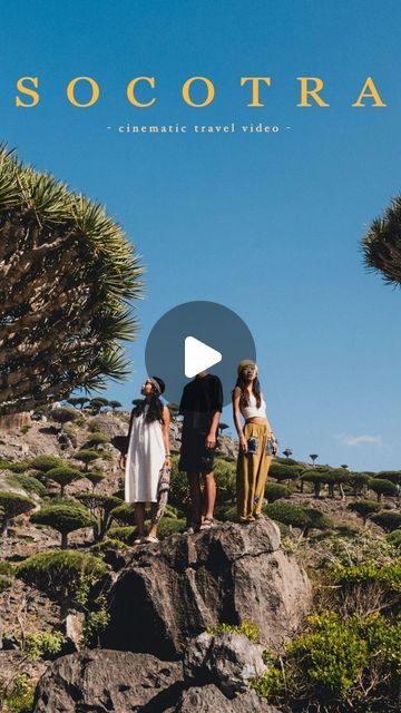 SHIH SHU on Instagram: "The video is now live on my YouTube channel!🔥
(You can find the link in my bio.🔗)
It’s a six-minute documentary capturing our seven-day journey. Socotra Island was definitely one of my favorite trips in 2023. Despite the unstable situation in the Middle East, Socotra is relatively safe and worth visiting. Looking forward to sharing this journey with you all!👌🏻
.
Special Thanks to @discoversocotra" Documentary Video, Socotra, Seven Days, Documentaries, Canning, Instagram