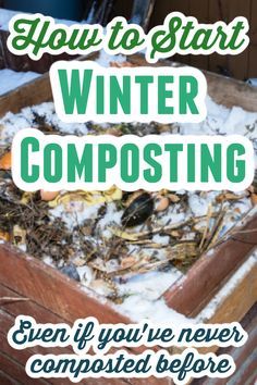 Composting For Beginners Diy How To Make, How To Begin Composting, Composting In Winter, How To Start A Compost, Simple Composting For Beginners, Composting Bins Ideas, Benefits Of Composting, How To Start Composting For Beginners, Easy Composting For Beginners