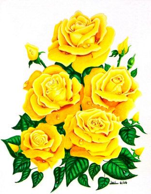 LOVE YELLOW ROSES! Yellow Rose Drawing, Pencil Flowers, Rose Drawing, Roses Drawing, Photography Prints, Beautiful Gif, Easy Drawing, Limited Edition Art, Shades Of Yellow