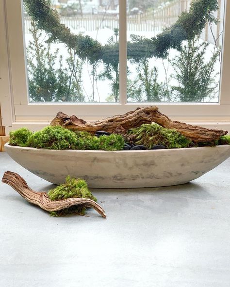 Looking for a botanical arrangement? How about a moss bowl? This one with moss drift wood and pebbles was a joy to put together... . . . #botanicalarrangement #moss #bringingtheoutsidein #mossbowl #botanicalart #driftwood Moss Bowls, Moss Bowl, Drift Wood, Container Gardens, Barn House, Put Together, Botanical Art, Container Gardening, Spring Decor