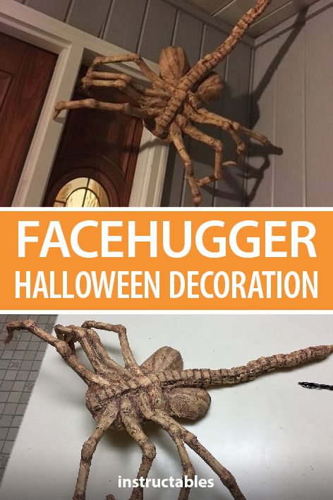 Paper mâché over a wire and cardboard base to make a Facehugger Halloween decoration that can be put up anywhere. #Instructables #decor #movie #Aliens #xenomorph #papercraft #upcycle Can Halloween Crafts, Paper Mache Halloween Props, Movie Themed Halloween Decor, Alien Props For Halloween, Cardboard Halloween Props, Scary Alien Halloween Decorations, Making Halloween Costumes, Diy Movie Props, Alien Halloween Decorations Diy