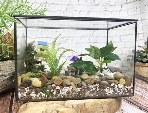 You can make either an open or closed terrarium in a few easy steps. You will need a fish tank or aquarium and ingredients to form a base layer, along with soil, plants, decorations, and a cover if you're using one. Terrariums need water and filtered sunlight to thrive. Fish Tank Plant Terrarium, How To Make A Terrarium, Making A Terrarium, Terrarium Base, Fish Tank Garden, Make A Terrarium, Tank Terrarium, Water Terrarium, Terrarium Tank