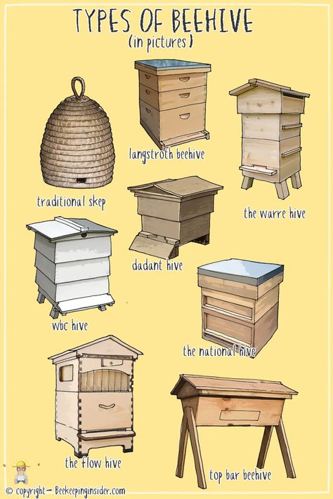 Different Types of Bee Hives With Pictures (How Many Are There?) | Beekeeping Insider Bee Hive Garden, Nails Different Shades Of Pink, Shades Of Pink Nails Short, Make A Bee Hive, Different Shades Of Pink Nails Short, How To Start A Bee Hive, Pink Nails Different Shades, Nails Different Shades, Types Of Bees Chart