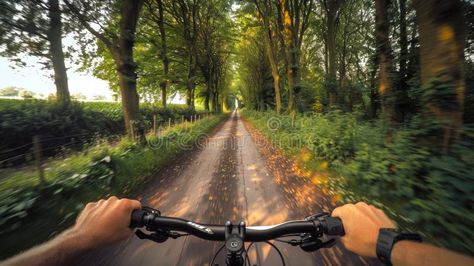 Riding a Bicycle Down a Tree Lined Country Road in Summer. POV photo, first person perspective stock photos First Person Perspective, Person Perspective, Riding A Bicycle, Country Summer, Tree Line, Country Road, In Summer, A Tree, Country Roads