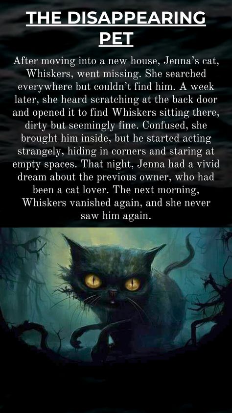 Creepy stories, urban legends, and ghost tales that will make you jump.
Scary stories that will keep you up all night. Scary Stories For Kids, Short Scary Stories, Scary Horror Stories, Scary Ghost Stories, Scary Story, Short Horror Stories, Scary Ghost, Vivid Dreams, Up All Night