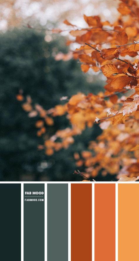 Color inspiration images Archives 3 - Fab Mood | Wedding Colours, Wedding Themes, Wedding colour palettes Navy Terracotta Green Color Palettes, Blue Orange Green Brown Color Palette, Dark Orange Palette, Fab Mood Inspiration, Green And Terracotta Color Scheme, Royal Color Palette, Emerald Green Color Palette, Taupe Color Schemes, Wedding Colour Palettes