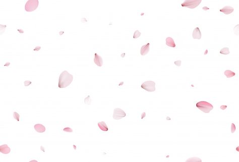 Sakura Petals Falling, Greenery Wallpaper, Petals Falling, Scenic Backgrounds, Sakura Petals, Creative Backdrops, Cherry Blossom Petals, Flower Background Design, Picsart Tutorial