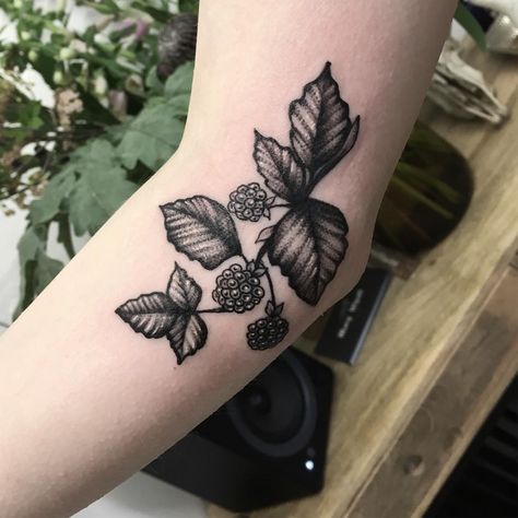 Blackberry Tree Tattoo, Bee And Blackberry Tattoo, Blackberry Branch Tattoo, Blackberry Bush Tattoo, Blackberry Plant Tattoo, Blackberry Tattoo, Celtic Tattoo Symbols, Pocket Watch Tattoos, King Tattoos