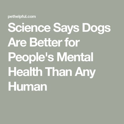 Science Says Dogs Are Better for People's Mental Health Than Any Human Why Dogs Are Better Than People, Dont Expect Anything, Good Listener, Stressful Situations, Reason Why, Mans Best Friend, Dog Owners, Dog Love, Best Dogs